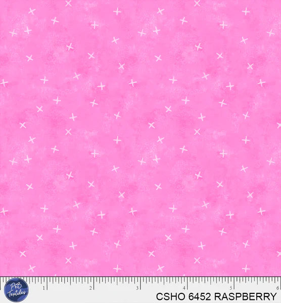 DECEMBER PREORDER -- RASPBERRY