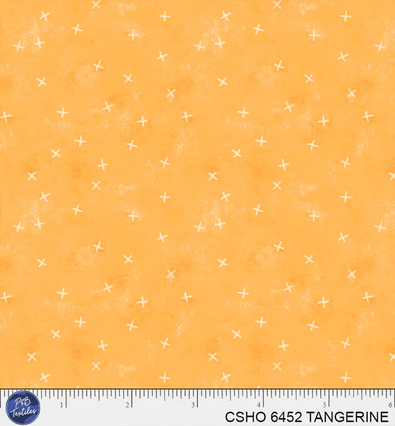 DECEMBER PREORDER -- TANGERINE