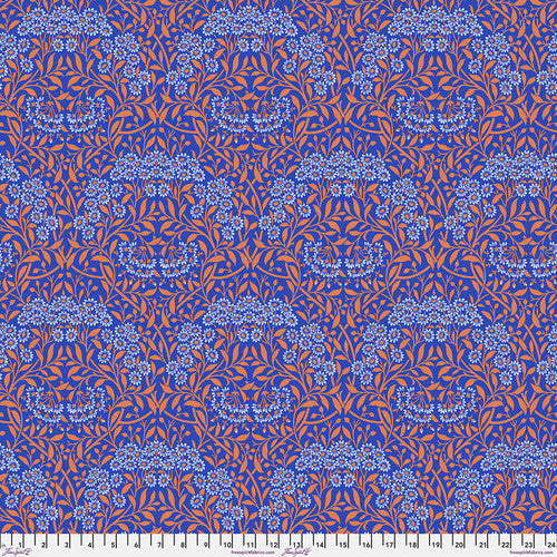 Daisy Cobalt
