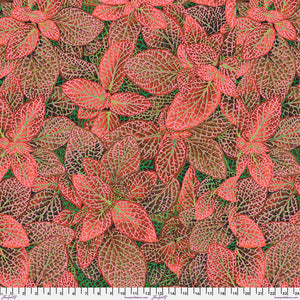 Free Spirit Kaffe Fassett 2024 By The 1/2 Yard Fittonia - Red