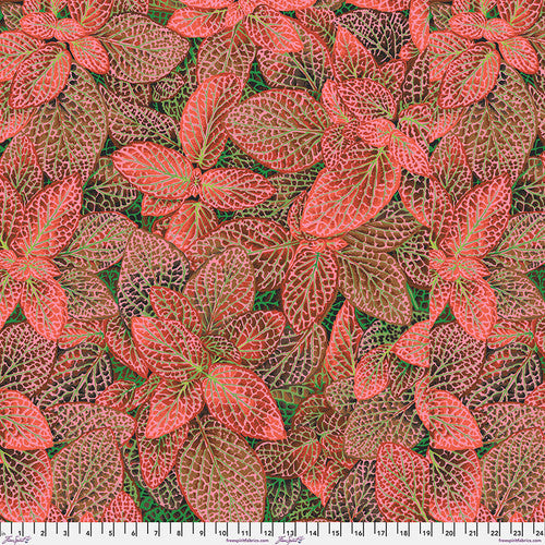 Pre Order Ships August 2024 Free Spirit Kaffe Fassett By The 1/2 Yard Fittonia - Red