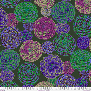 Free Spirit Kaffe Fassett 2024 By The 1/2 Yard Japonica - Dark