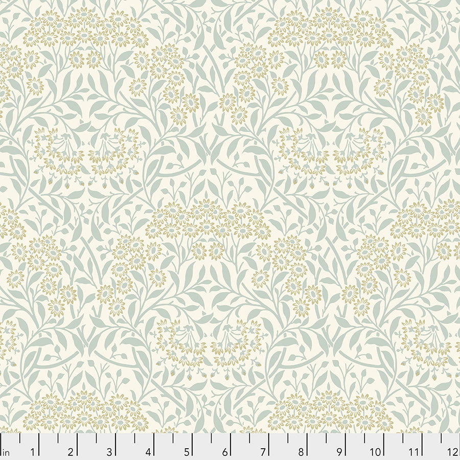 Michaelmas Daisy - Ivory