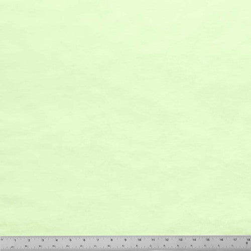 SILKY MINKY 3MM 58/60" LT Green By The 1/2 Yard