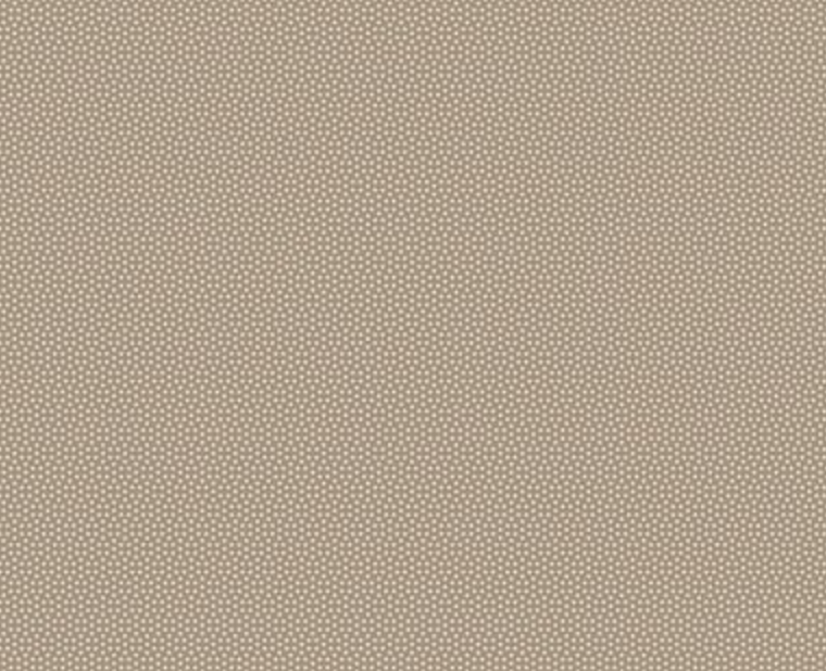 APRIL PREORDER -- Poppy Seed in Mouse