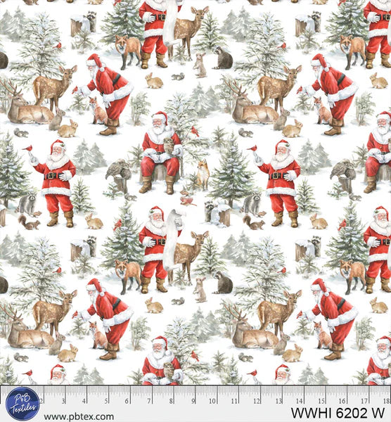 Pre Order Ships In June Santa Forest