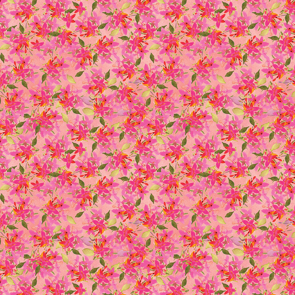 Star Flower Coral
