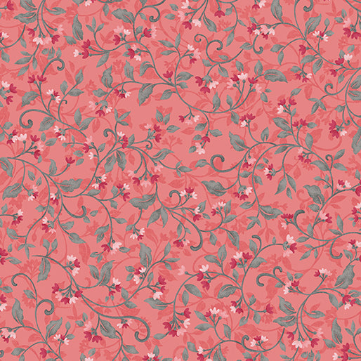 Wander Lane  Snowdrop Coral